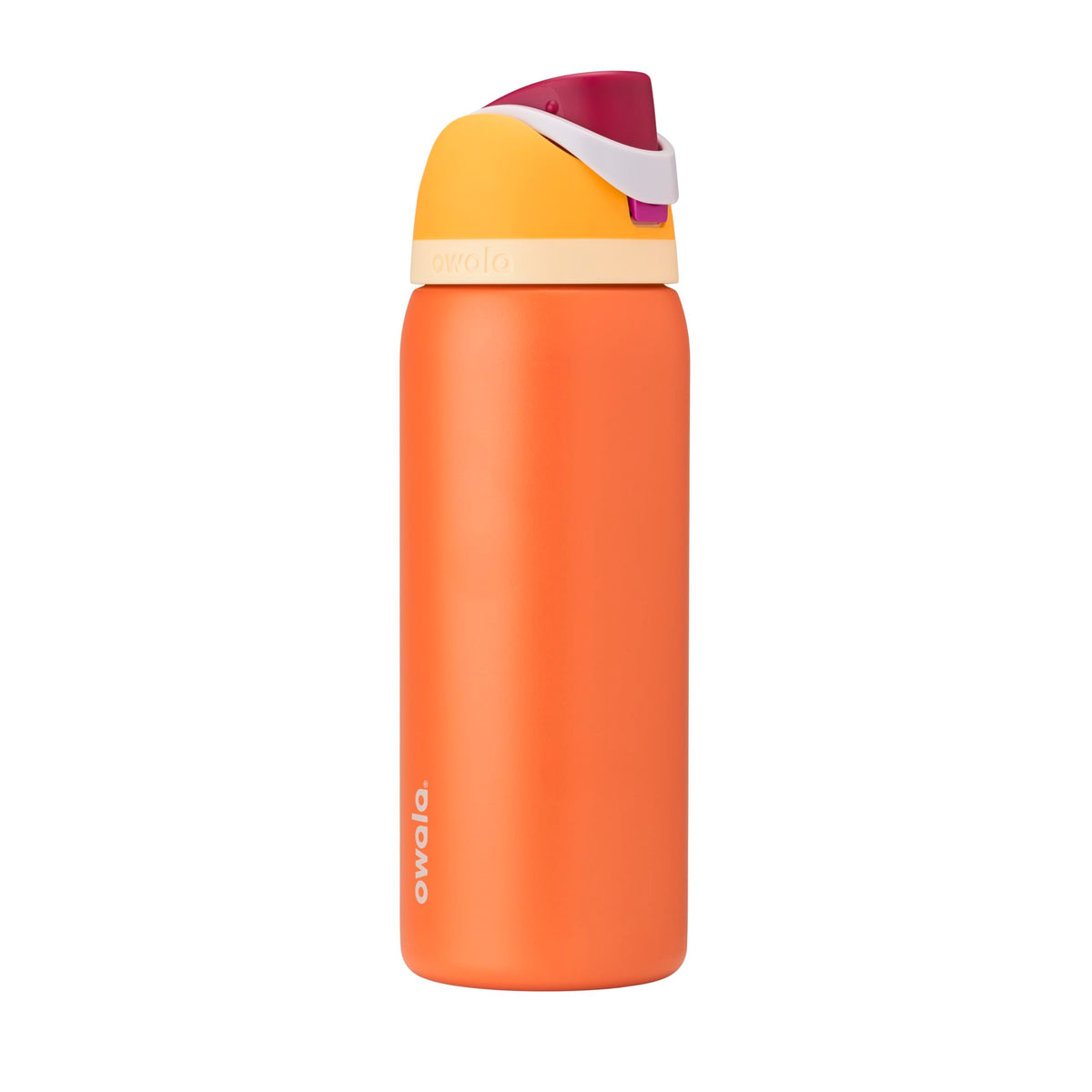 Owala FreeSip Insulated Stainless Steel Water Bottle with Straw for Sports, Travel, and School BPA-Free Sports Water Bottle, 32 oz, Boneyard (Pack of 6)